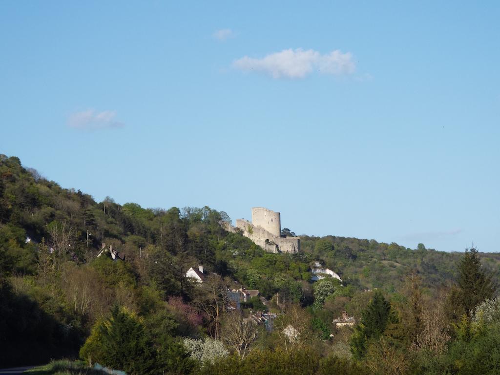 Le Logis Du Chateau La Roche-Guyon Rum bild